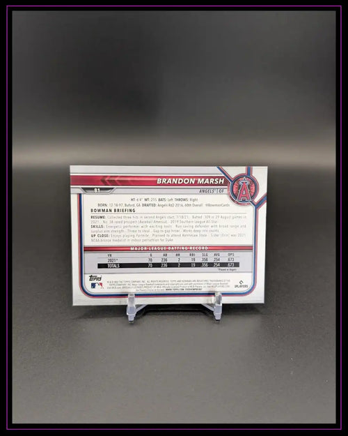 Baseball Trading Card Rückseite mit Spielerinformationen und Statistiken auf Kartenständer