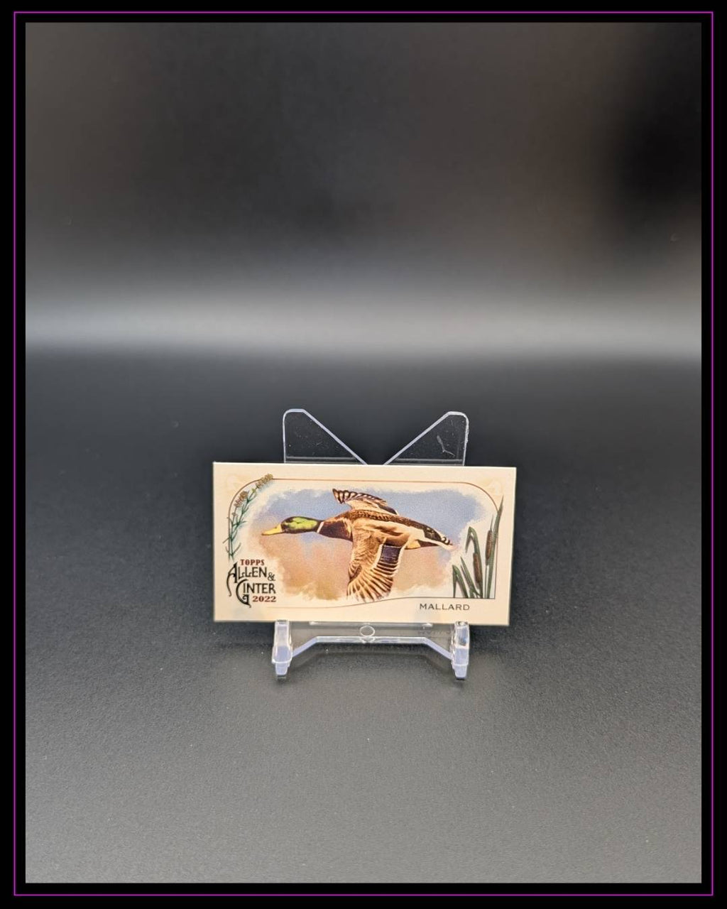 2022 Topps Allen & Ginter #MD-1 Mallard Mini Ducks