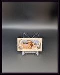 2022 Topps Allen & Ginter #MD-1 Mallard Mini Ducks